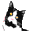 Miaoooh